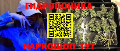 spice Малгобек