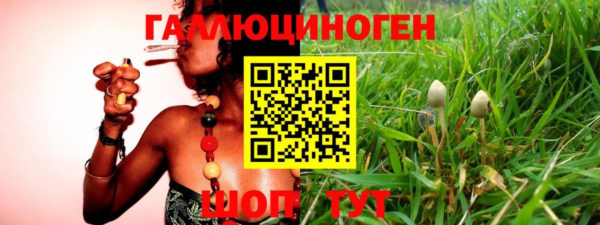 Галлюциногенные грибы Magic Shrooms  Вход с VPN  Уварово 